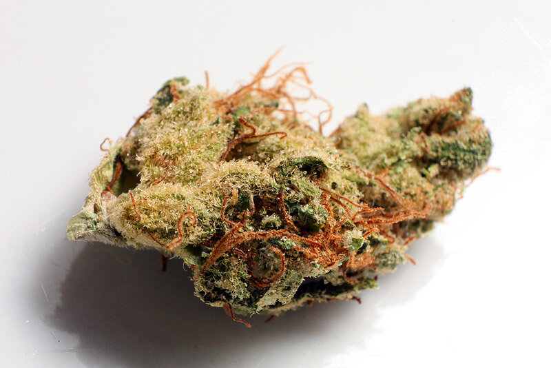 close-up of cannabis bud