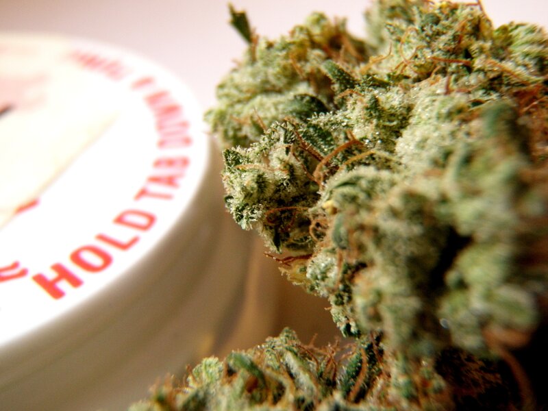 close-up of cannabis bud