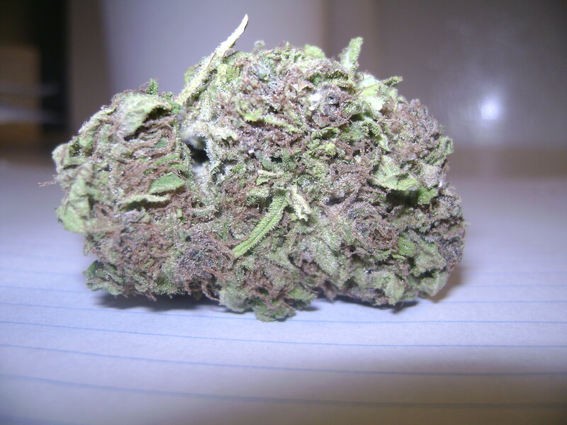 close-up of cannabis bud