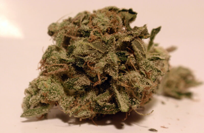 close-up of cannabis bud