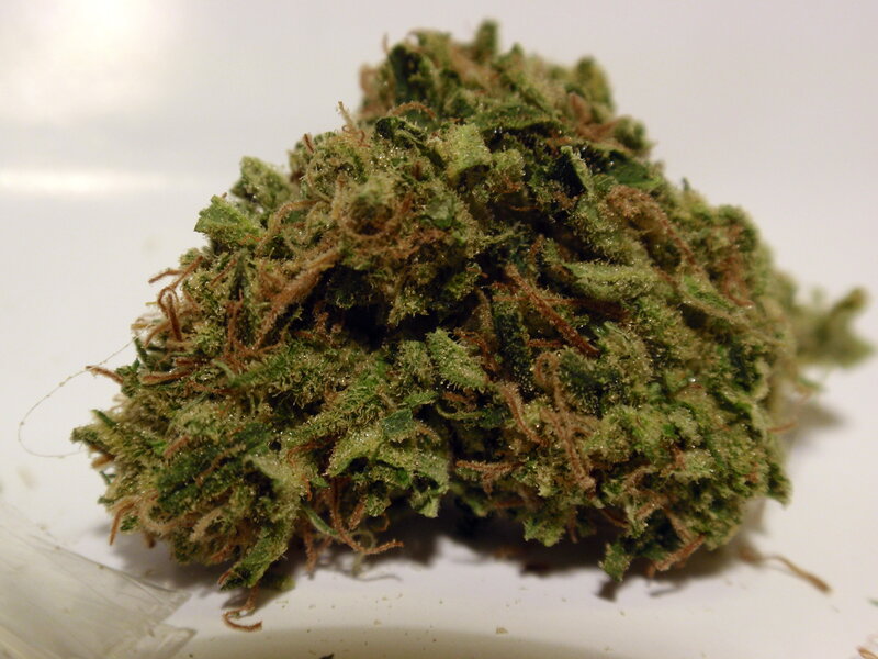 close-up of cannabis bud