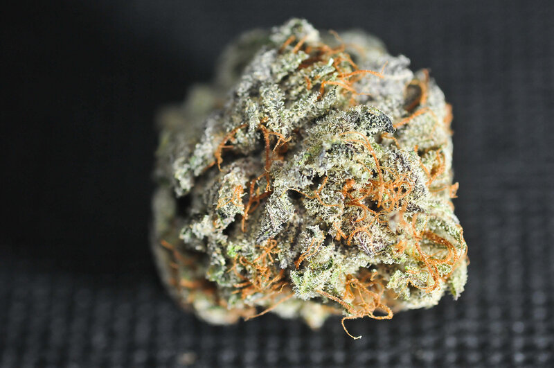 close-up of cannabis bud