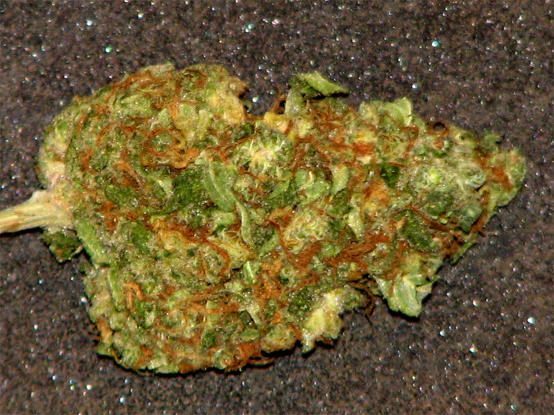 close-up of cannabis bud