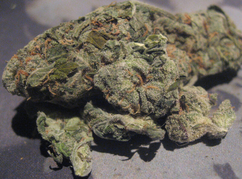 close-up of cannabis bud