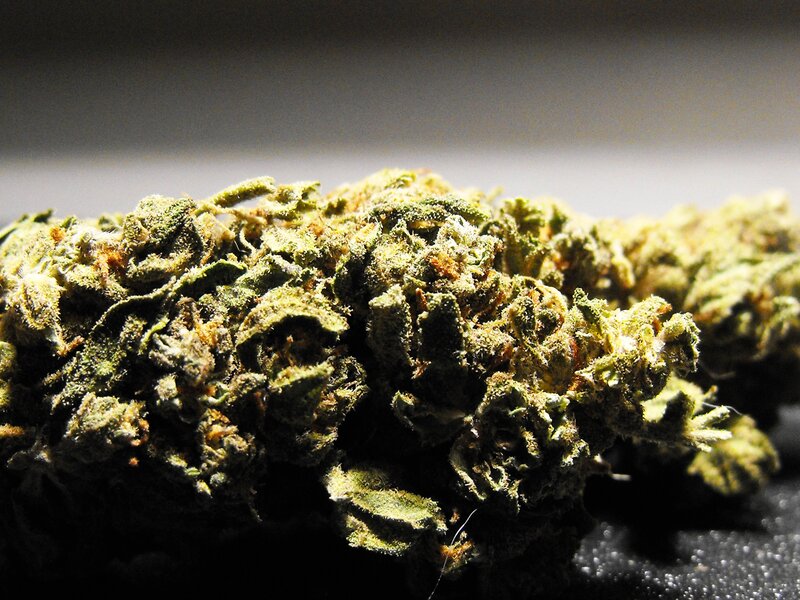 close-up of cannabis bud