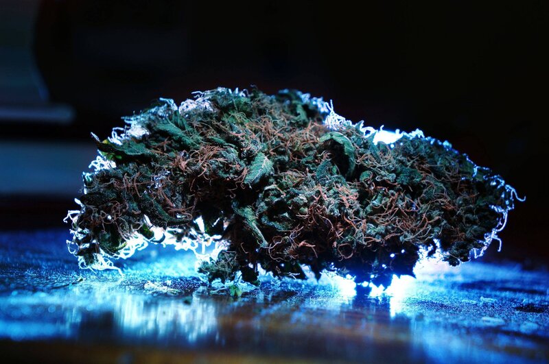close-up of cannabis bud