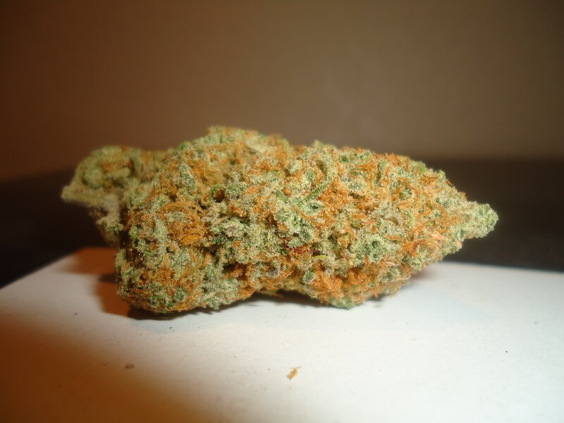 close-up of cannabis bud