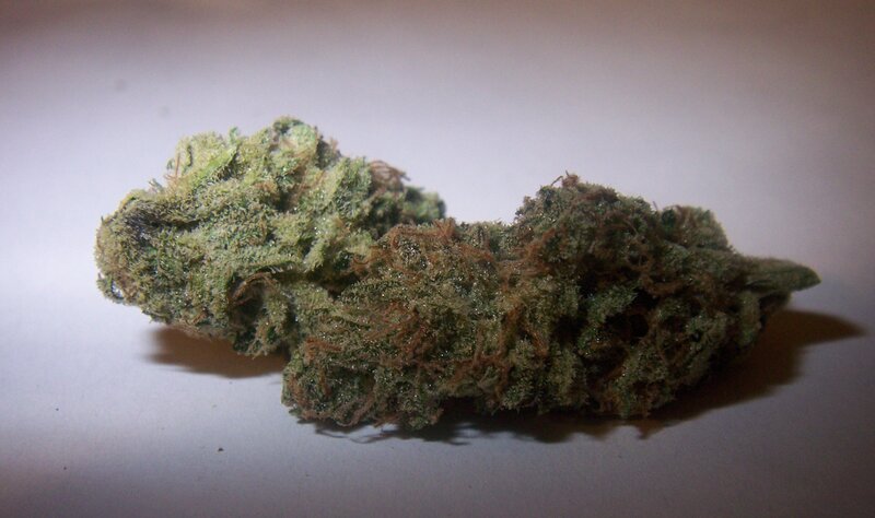 close-up of cannabis bud