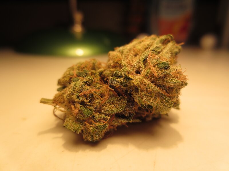 close-up of cannabis bud