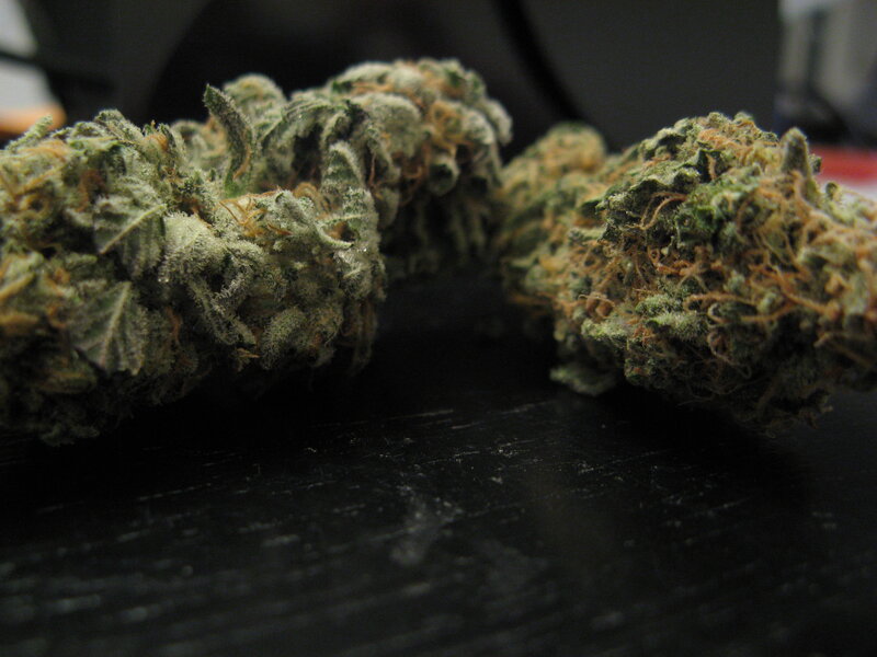 close-up of cannabis buds