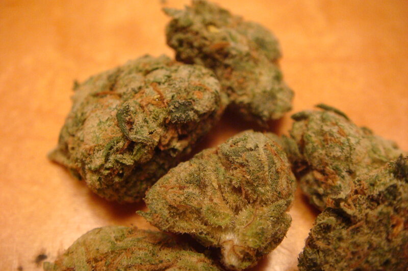 close-up of cannabis buds