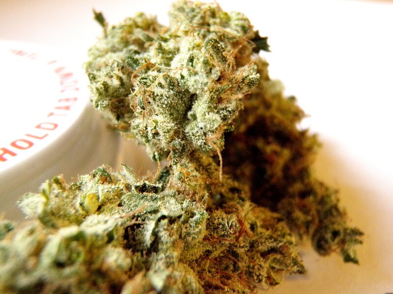 close-up of cannabis buds