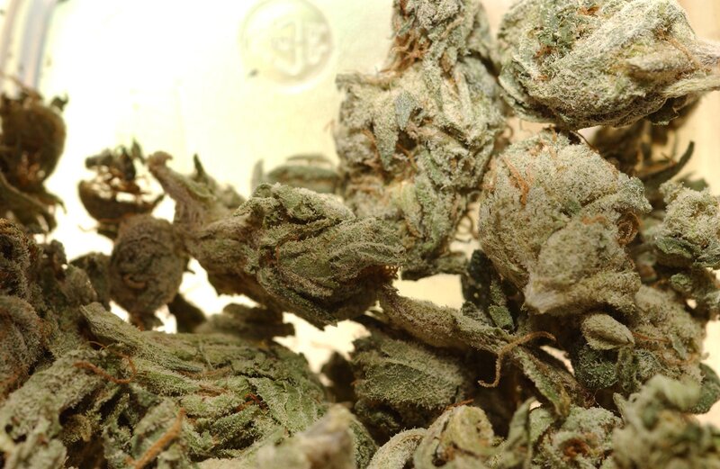 close-up of cannabis buds