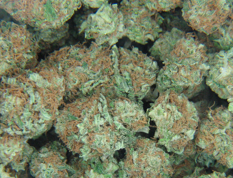 close-up of cannabis buds