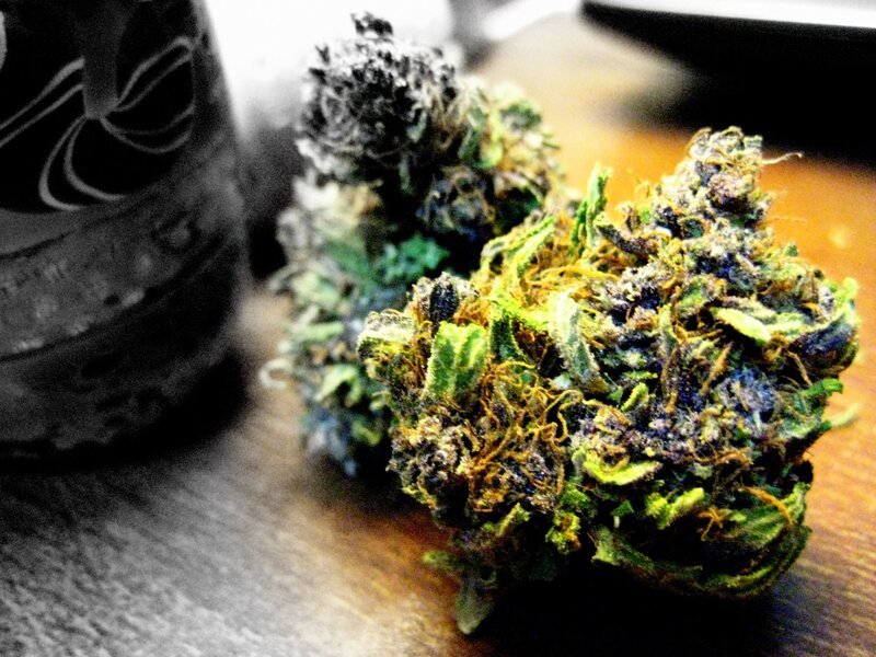 close-up of cannabis buds