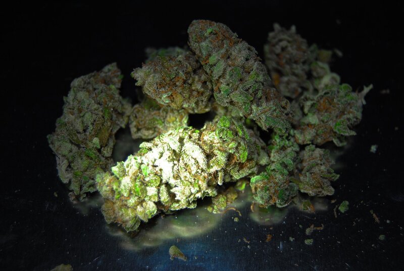 close-up of cannabis buds