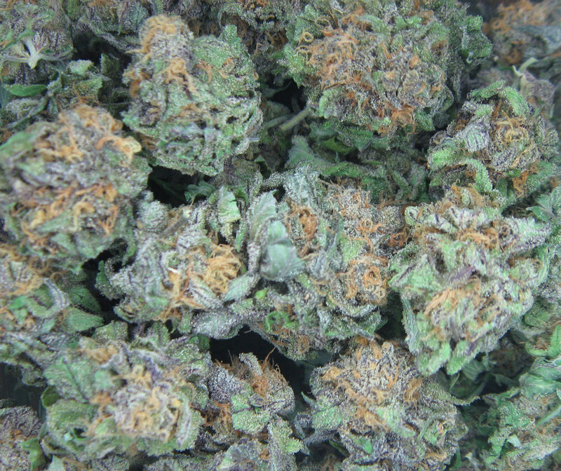 close-up of cannabis buds