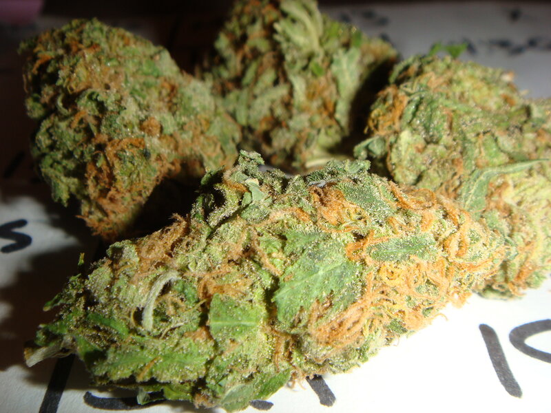 close-up of cannabis buds