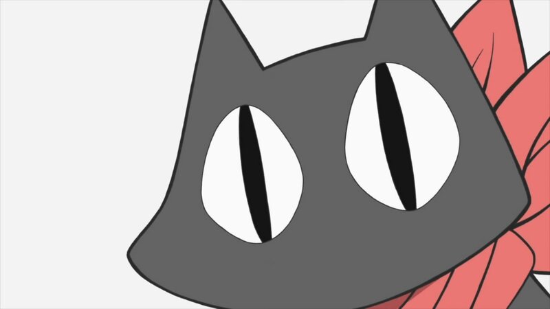 close-up of cat eyes