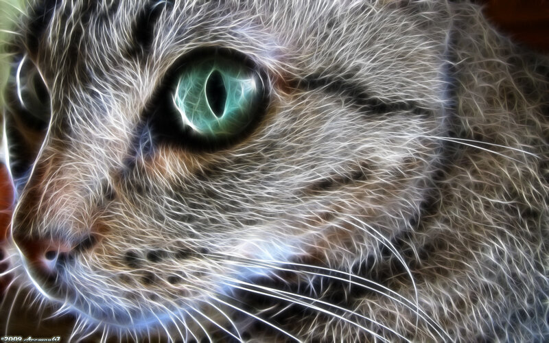 Close-up of Cat Face — Gray, Intense, Digital Art