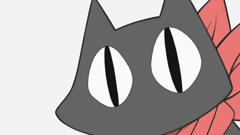 Close-up of Cat Face — Gray, Neutral