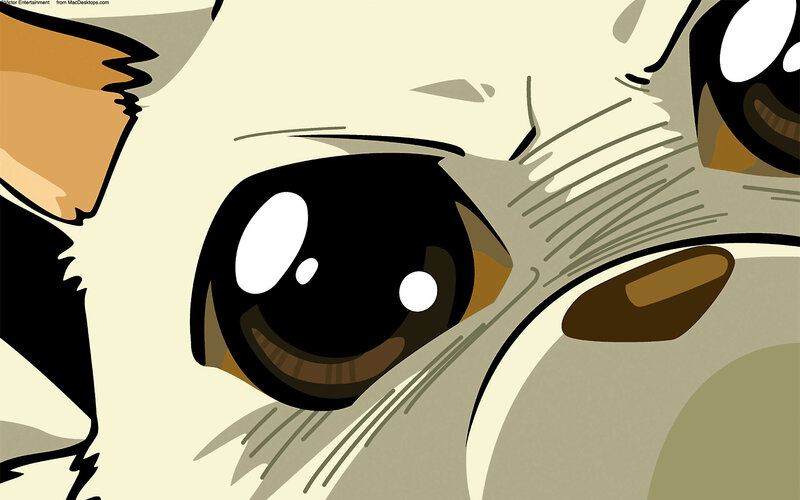 Close-up of Cat's Eyes — White
