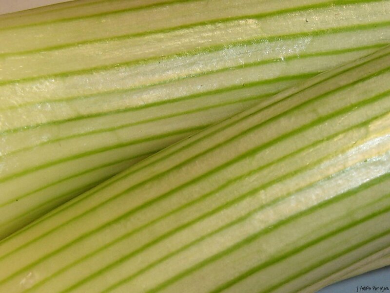 Close-up of celery stalks
