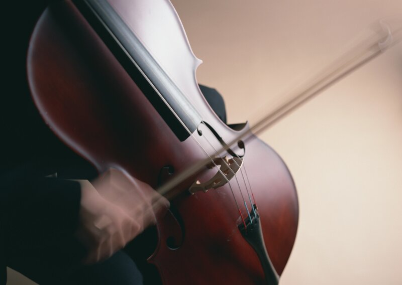 Close-up of cello being played