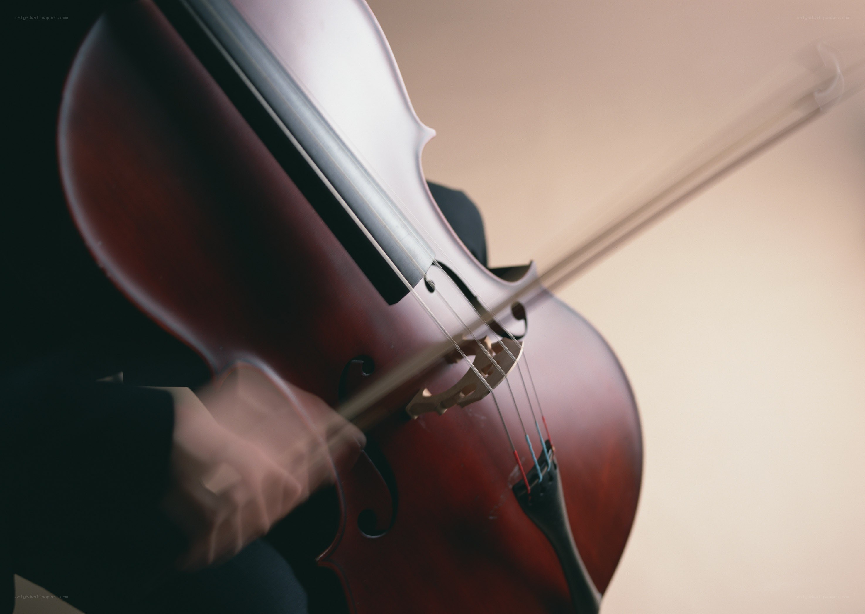 Close-up of cello being played