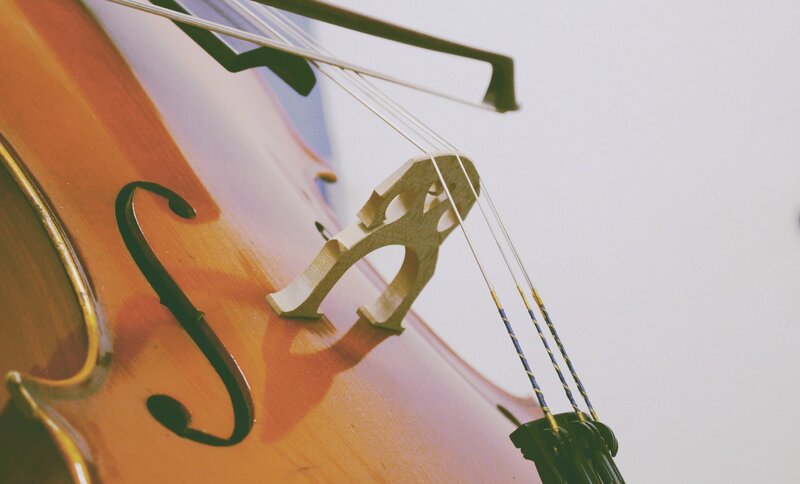 Close-up of Cello Body — Brown