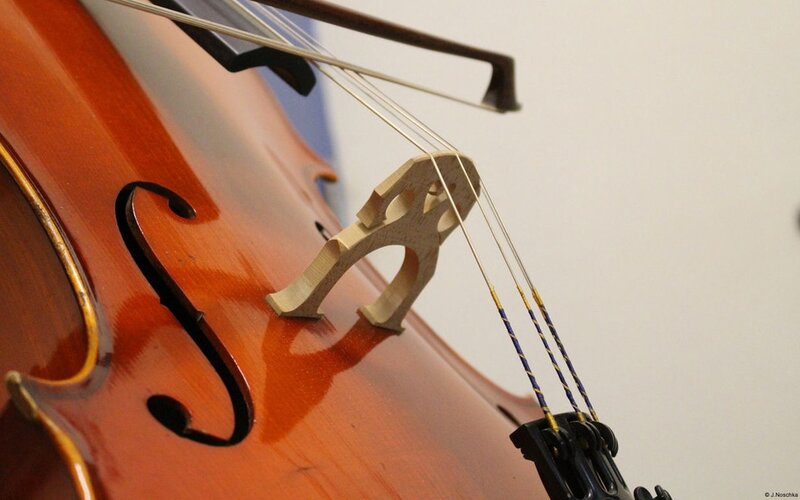 Close-up of Cello Body