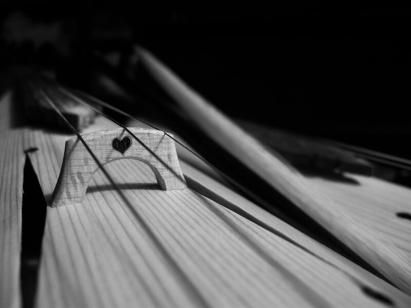 Close-up of Cello Bridge