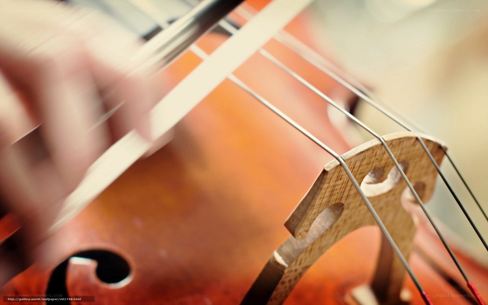 close-up of cello playing