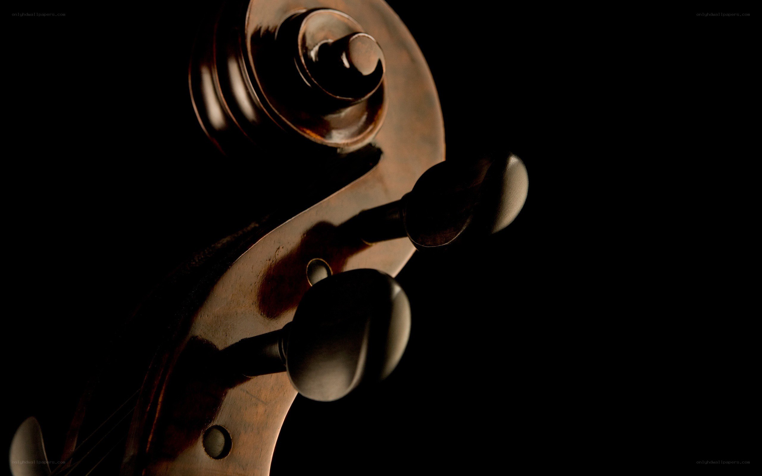 Close-up of cello scroll