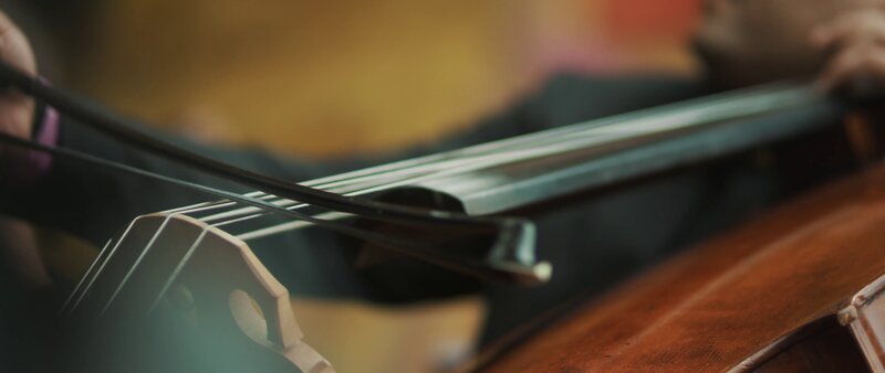 Close-up of Cello Strings — Brown