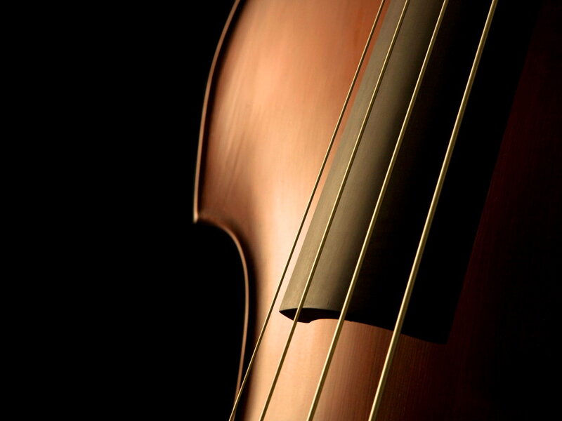 Close-up of Cello Strings