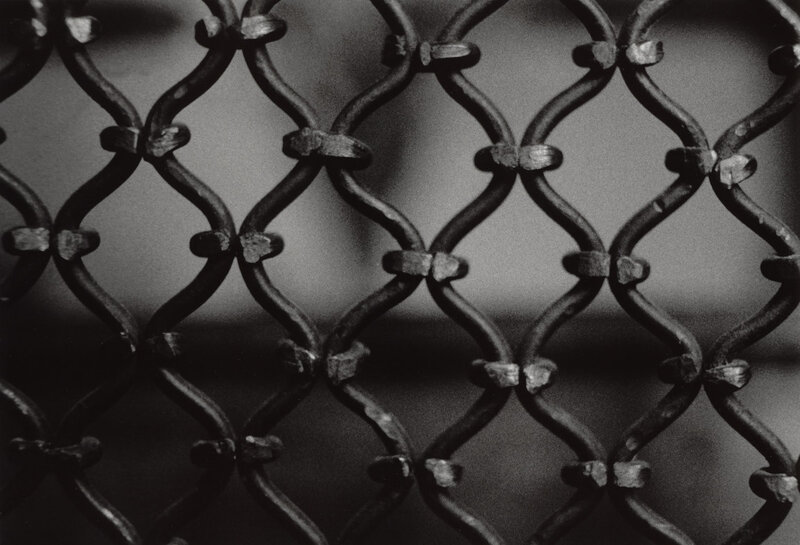 close-up of chain-link fence