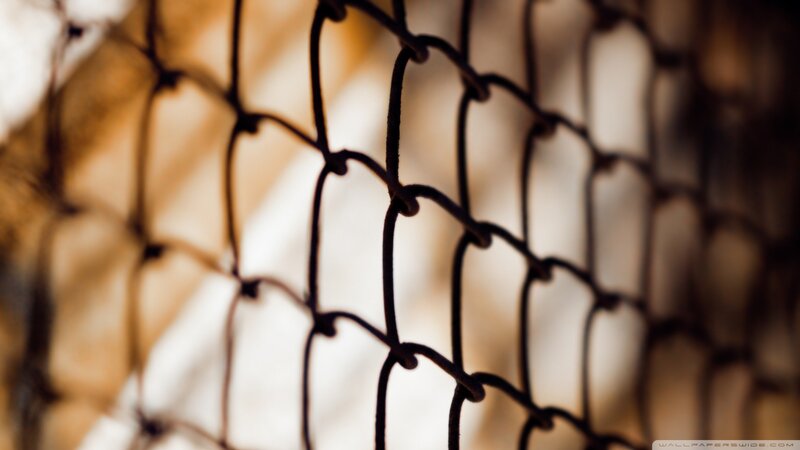 close-up of chain-link fence