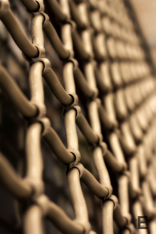 close-up of chain-link fence