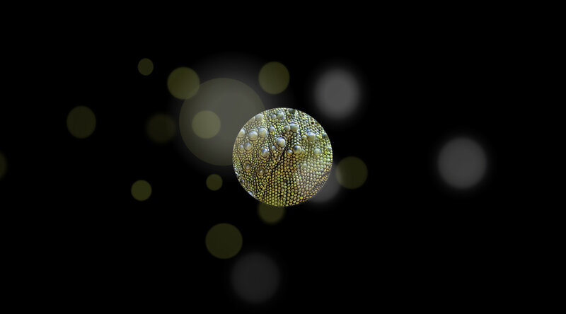 Close-up of Chameleon Skin