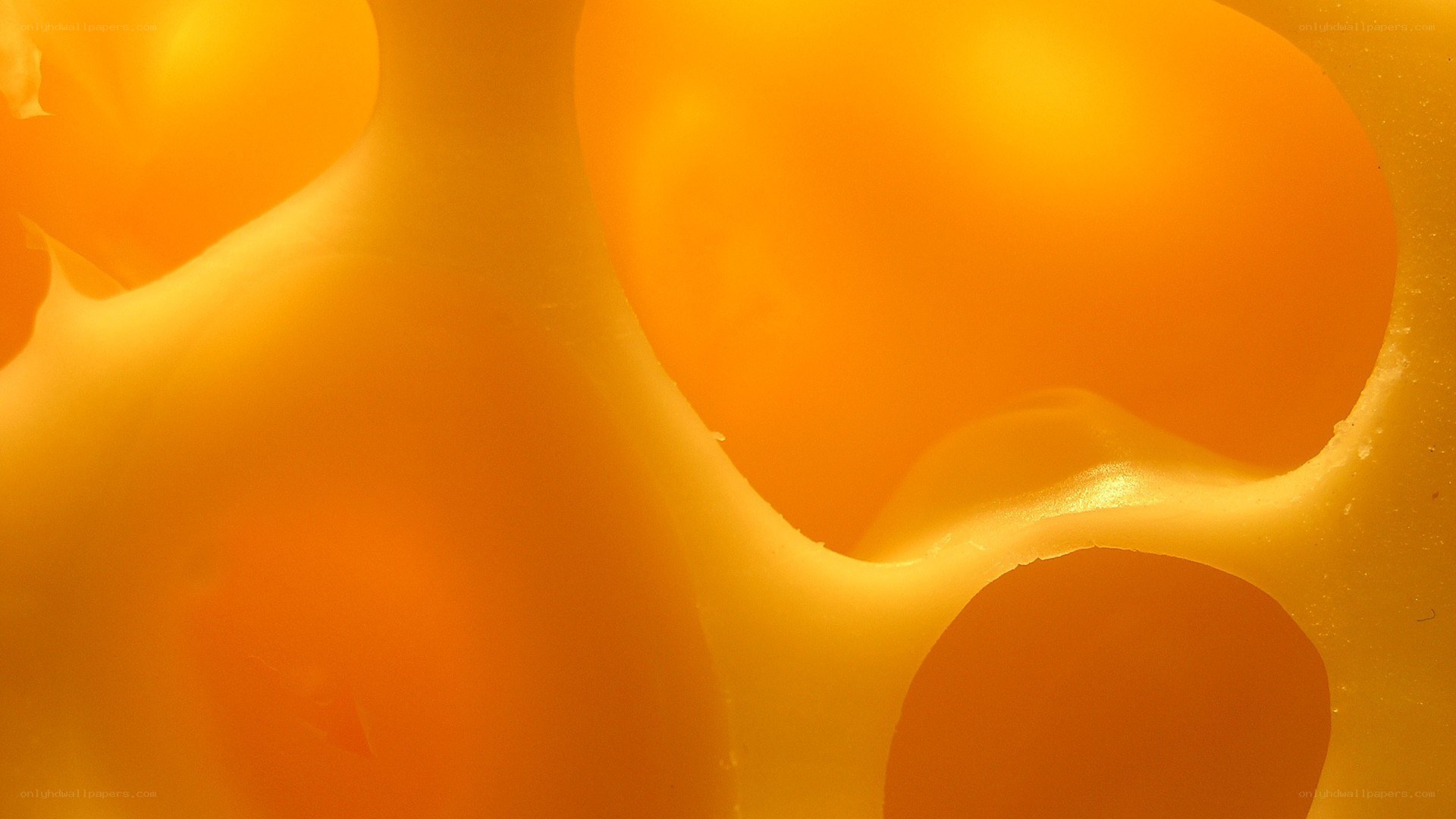 close-up of cheese texture