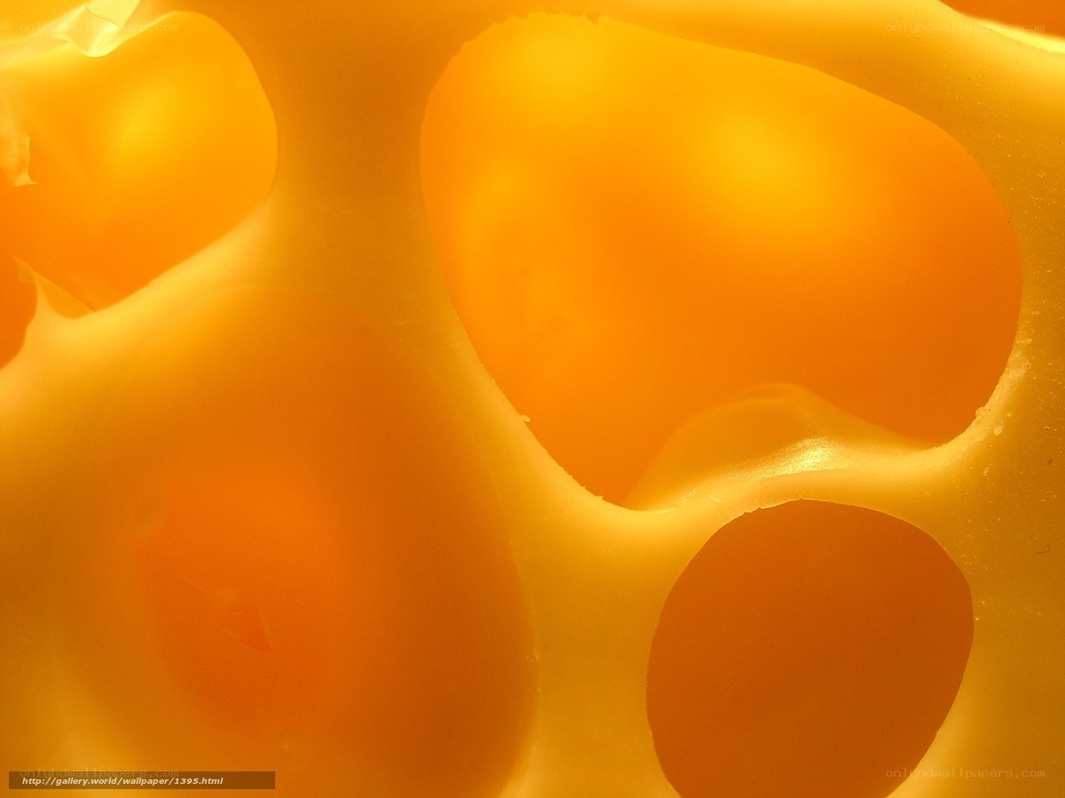 close-up of cheese texture