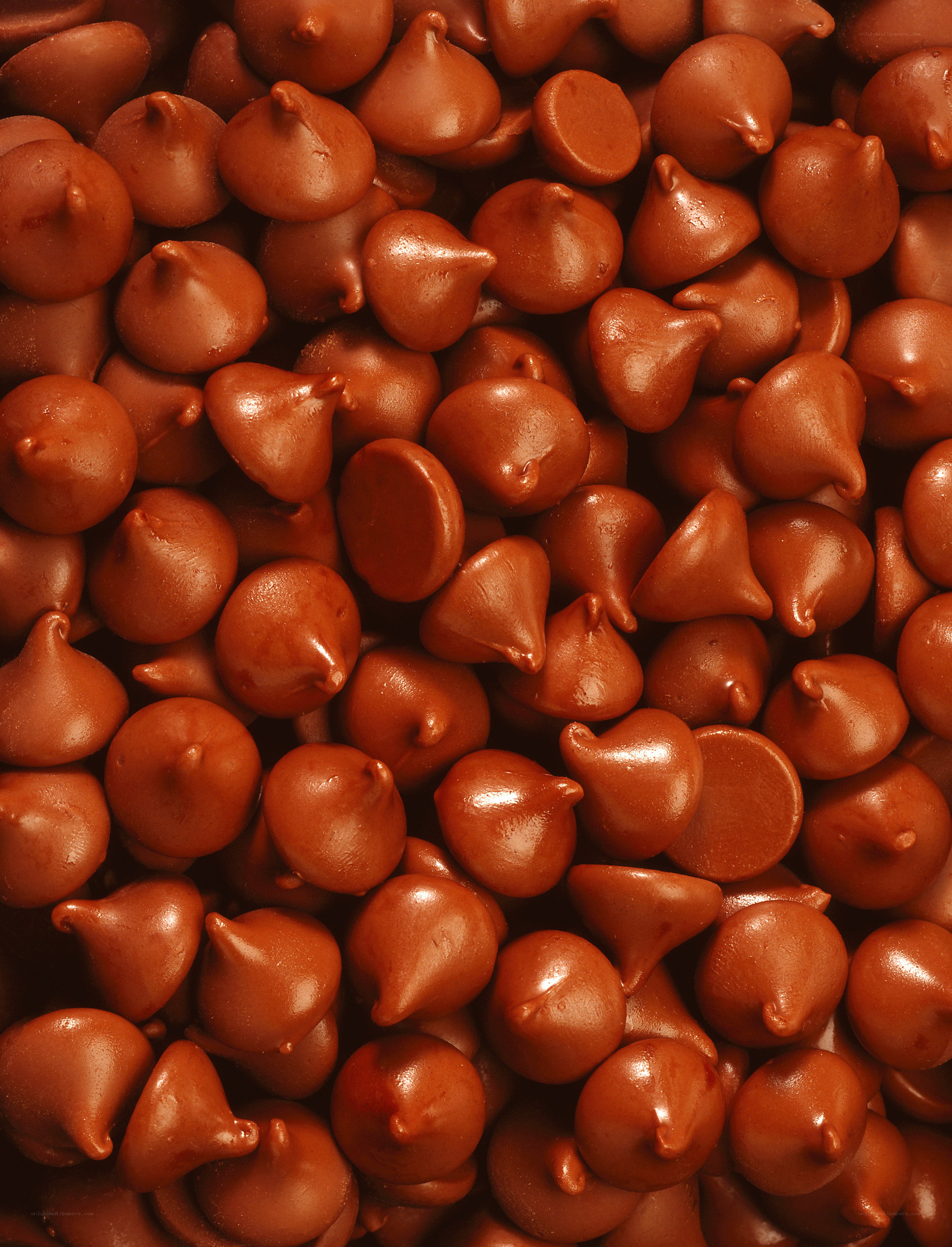 close-up of chocolate chips