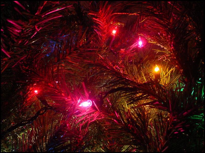 Close-up of Christmas Tree