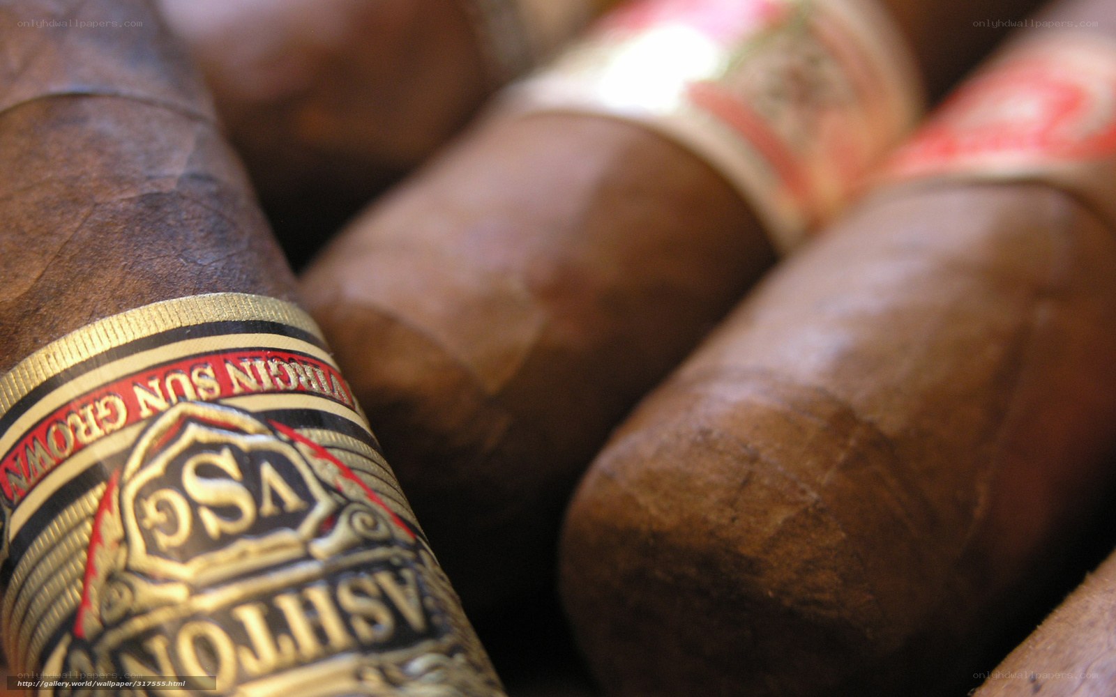 Close-up of cigars with labels