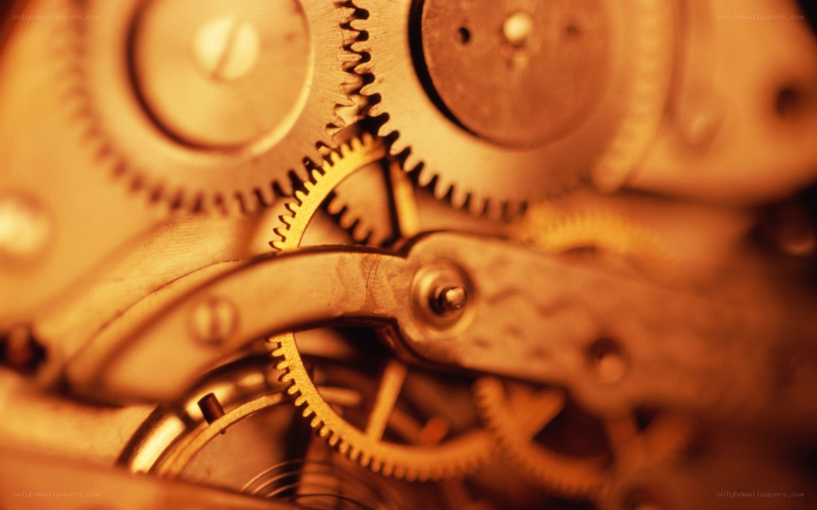 close-up of clock gears