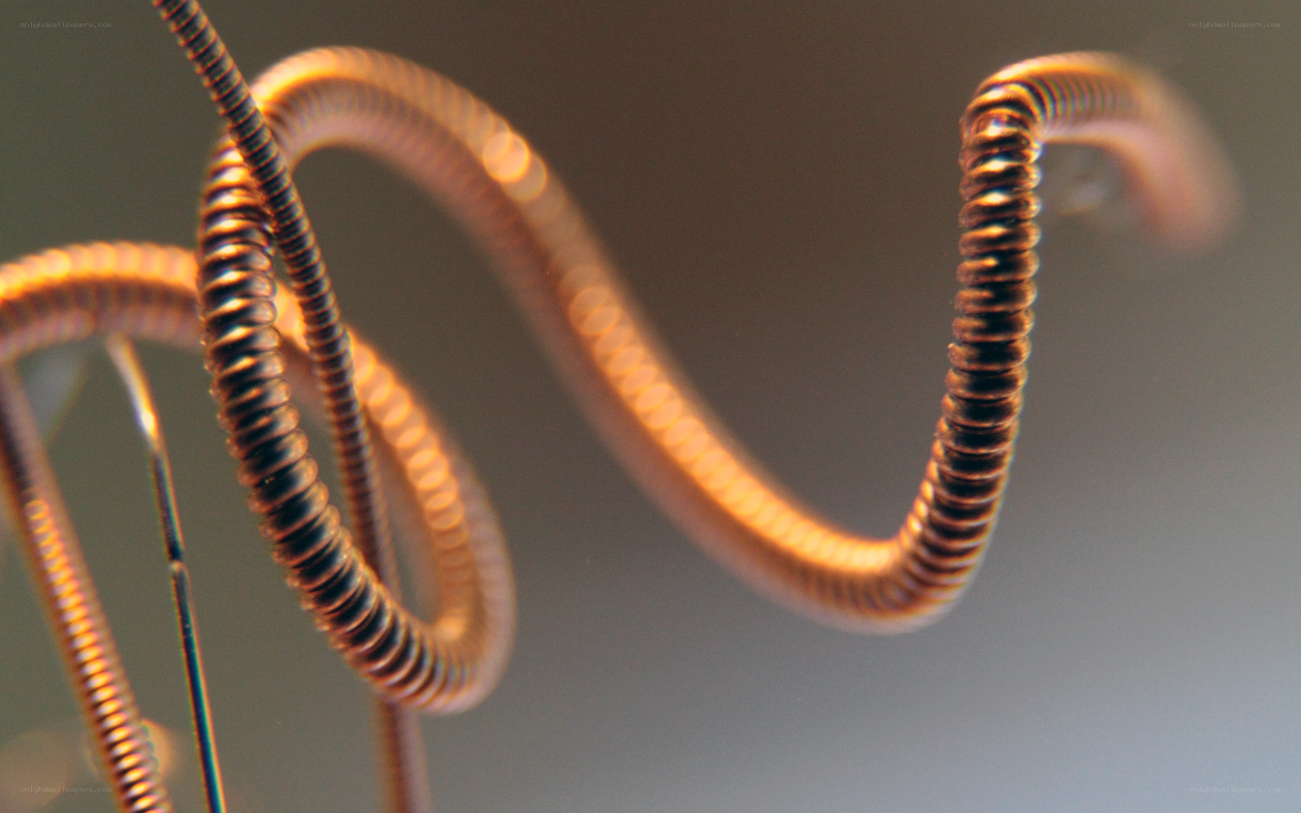 Close-up of coiled copper wire