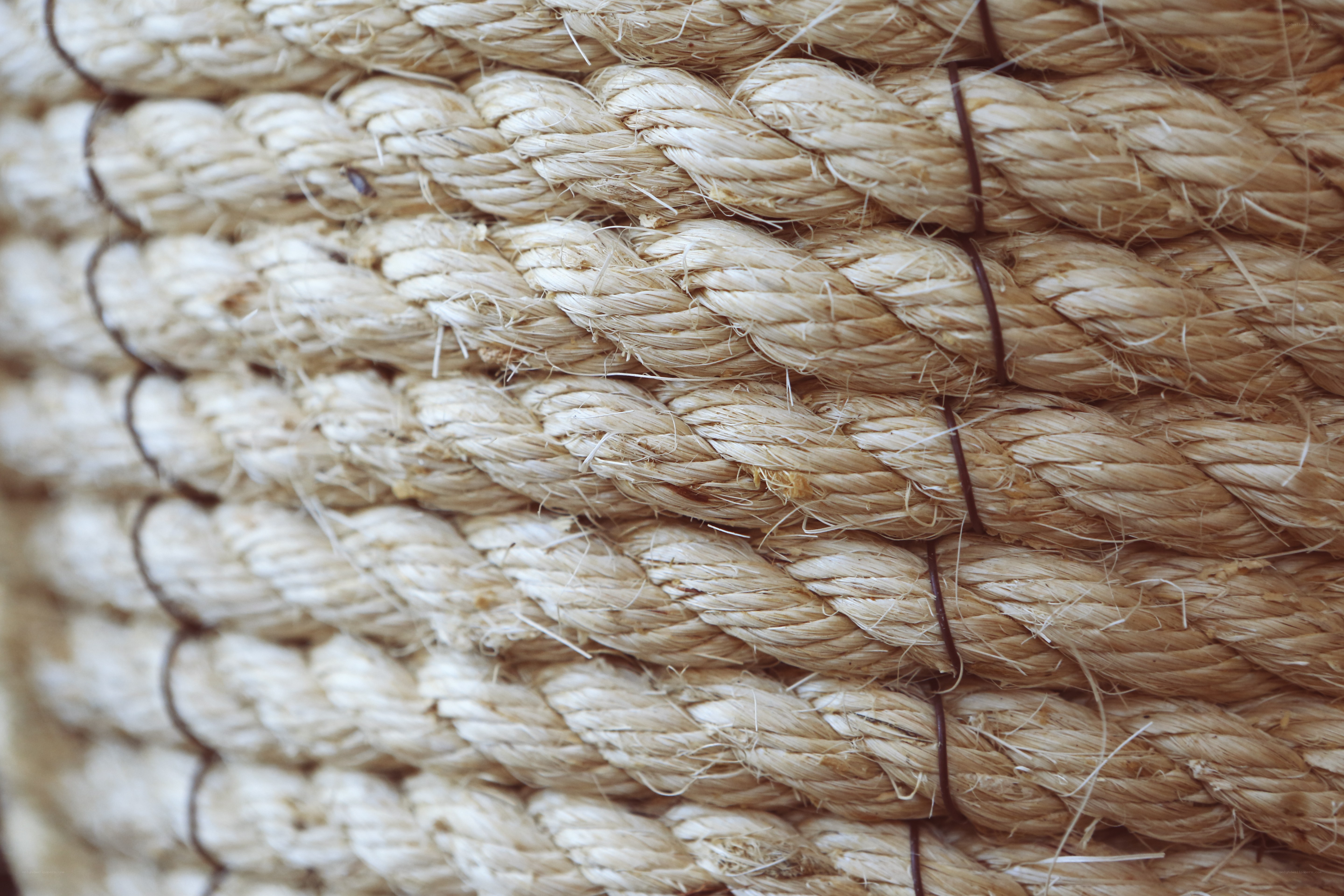 close-up of coiled rope