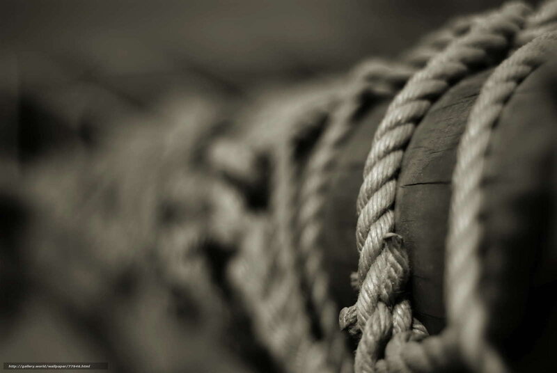 Close-up of coiled rope