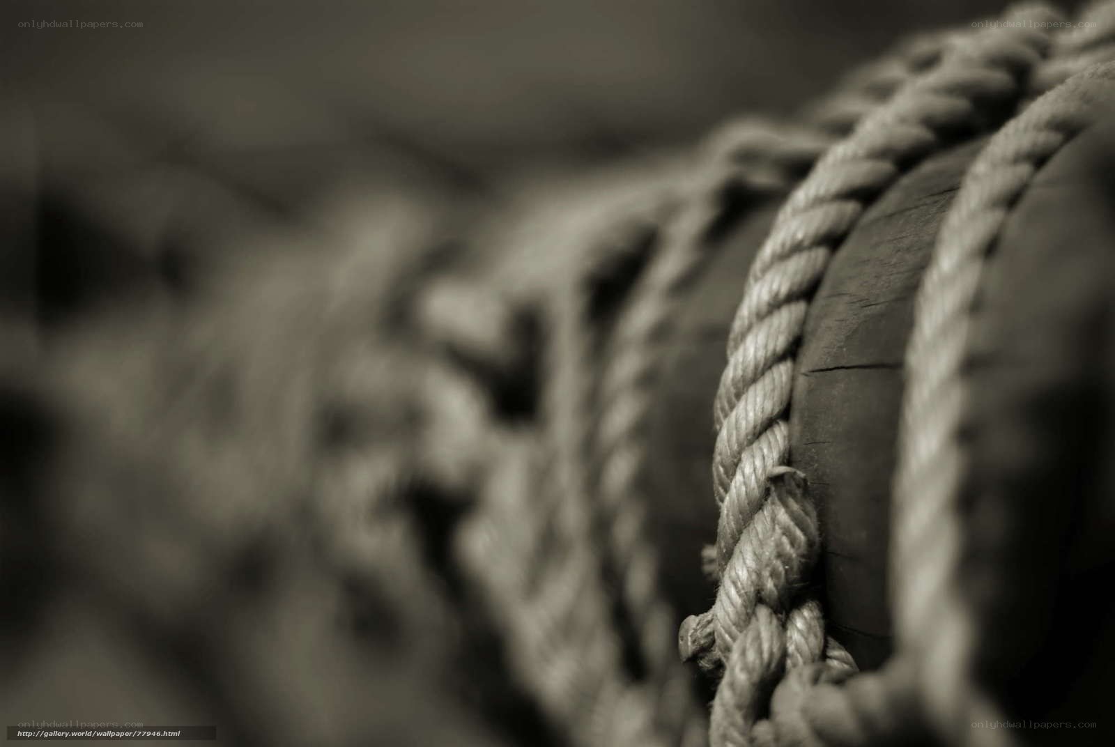 Close-up of coiled rope